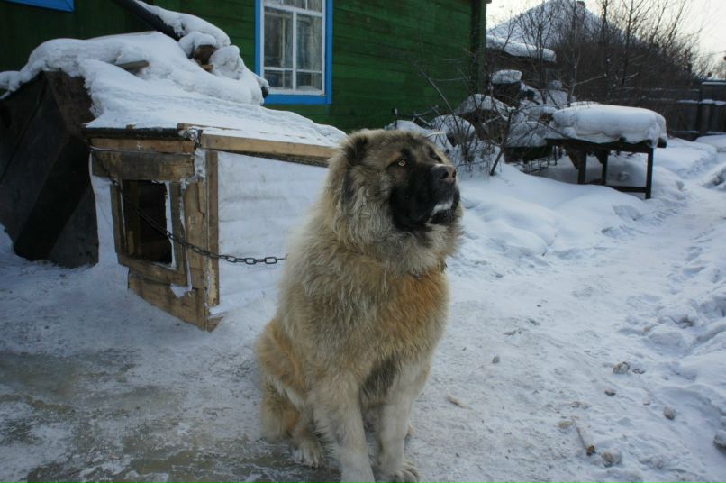 Иван Катков фотография #3