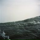 Фотография Stroganov Kirill