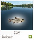 Діма Чейпеш фотография #24 (источник - https://vk.com/id160940576)