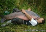 Віталік Гуршал фотография #44 (источник - https://vk.com/id35518912)