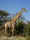 Дмитрий Колесников фотография #39 (источник - https://vk.com/id60109861)