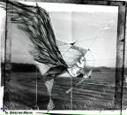 Фотография Omer Alex