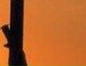 Бодик Бабкін фотография #44 (источник - https://vk.com/id126759123)