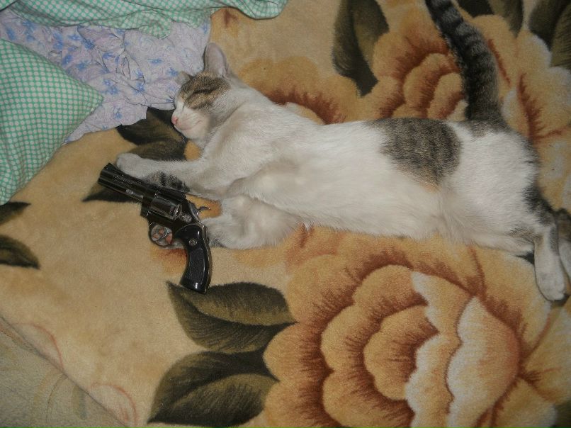 Дима Уртаев фотография #35