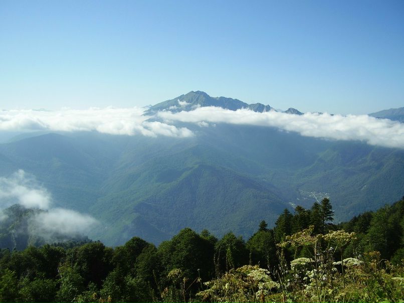 Сергей Горцев фотография #43