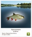 Богдан Савчук фотография #2 (источник - https://vk.com/id166248489)