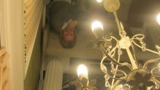 Фотография Романовой Ксении