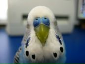 Фотография Сергеевой Марии