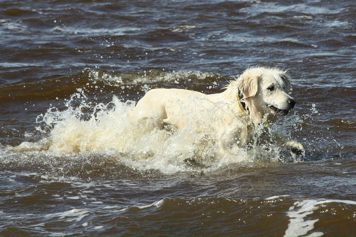 Даниил Сидоров фотография #19