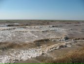 Віталік Шамрук фотография #48 (источник - https://vk.com/id30907440)