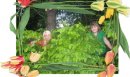 Марійка Яворська фотография #2 (источник - https://vk.com/id51214669)