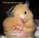 Тарас Підлісний фотография #42 (источник - https://vk.com/id119180152)