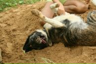 Фотография Богумильчик Оли