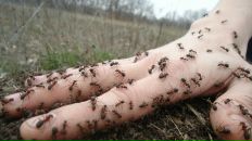 Фотография Капустина Семёна