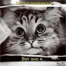 Фотография Худиной Оксаны