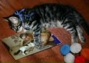 Ігор Хасанянов фотография #14 (источник - https://vk.com/id88704009)