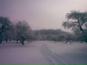 Сергій Квас фотография #24 (источник - https://vk.com/id27886778)