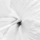Міша Костик фотография #29 (источник - https://vk.com/id15137294)