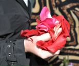 Фотография Корчагиной Анны