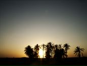 Фотография Сударева Александра