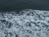 Лена Ильина фотография #50 (источник - https://vk.com/id8236219)