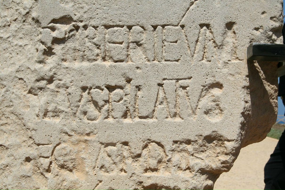 Дарья Климова фотография #40