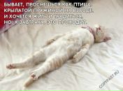 Фотография Кирачук Ольги