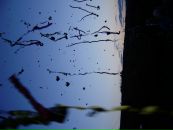 Віталік Федечко фотография #9 (источник - https://vk.com/id75702762)