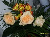 Фотография Гарбузовой Ирины