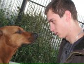 Фотография Строева Александра