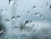 Фотография Николаевой Виктории