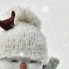 Іван Гарасим'юк фотография #16 (источник - https://vk.com/id122174058)