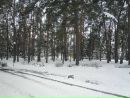 Дімчик Мальчевський фотография #28 (источник - https://vk.com/id96057557)