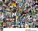 Саффка =) фотография #13 (источник - https://vk.com/id137212567)