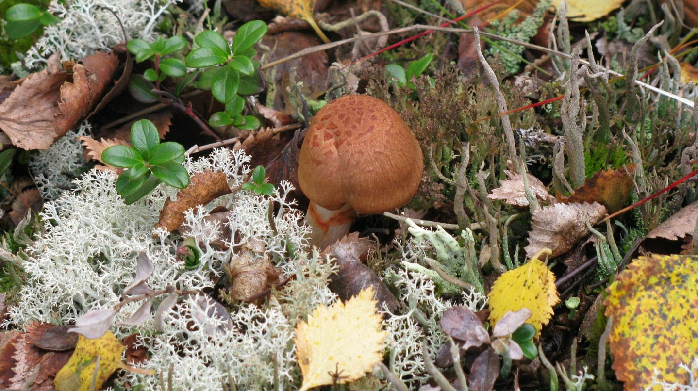 Иван Л фотография #28