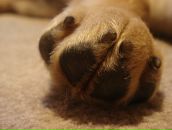 Фотография Правоторова Владимира