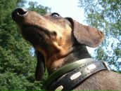 Віталій Папіж фотография #49 (источник - https://vk.com/id25237547)