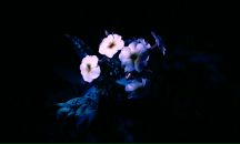 Рустем Гайсин фотография #45 (источник - https://vk.com/id3822511)