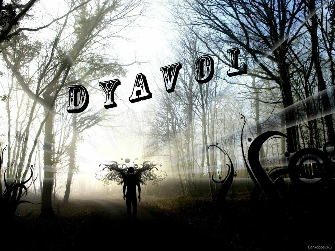 Антон Власенко фотография #19