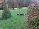 Фотография Каракуркчи Тамары