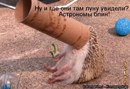 Міша Ільків фотография #47 (источник - https://vk.com/id184566891)