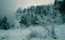 Фотография Михиной Ларисы