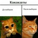 Фотография Спицына Василия