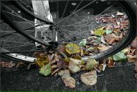 Фотография Балахановой Марины