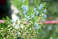 Виктор Иванов фотография #8 (источник - https://vk.com/id2597380)