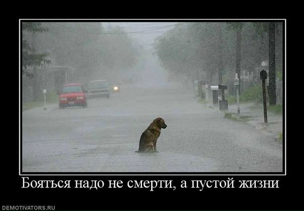 Александр Пенчук фото №21