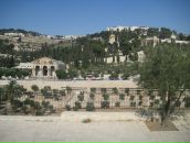 Лідзія Каўрыговіч фотография #23 (источник - https://vk.com/id6228044)