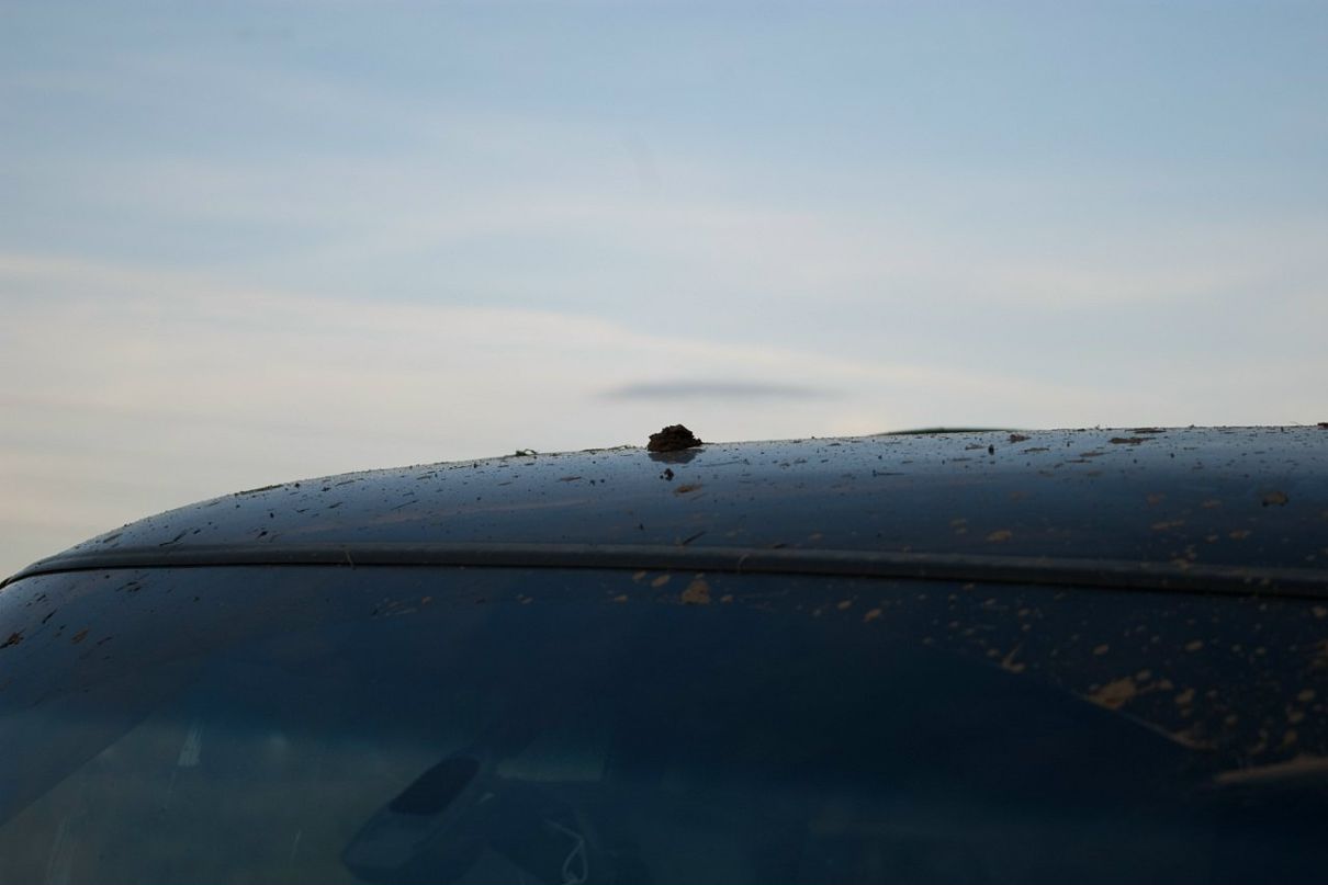 Сергей Метелин фотография #11