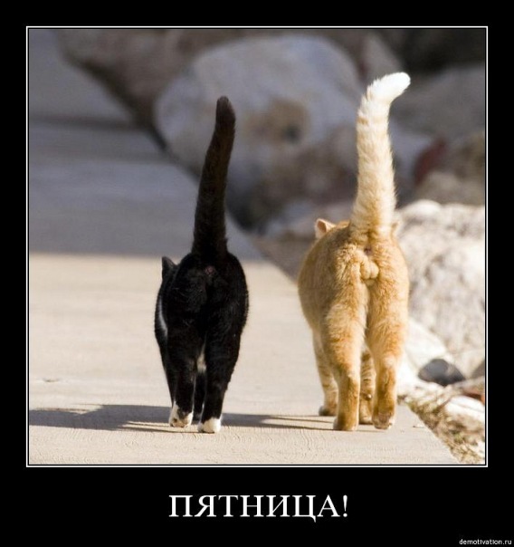 №2, Татьяна Шебулдаева, Минск №2, Татьяна Шебулдаева, Минск