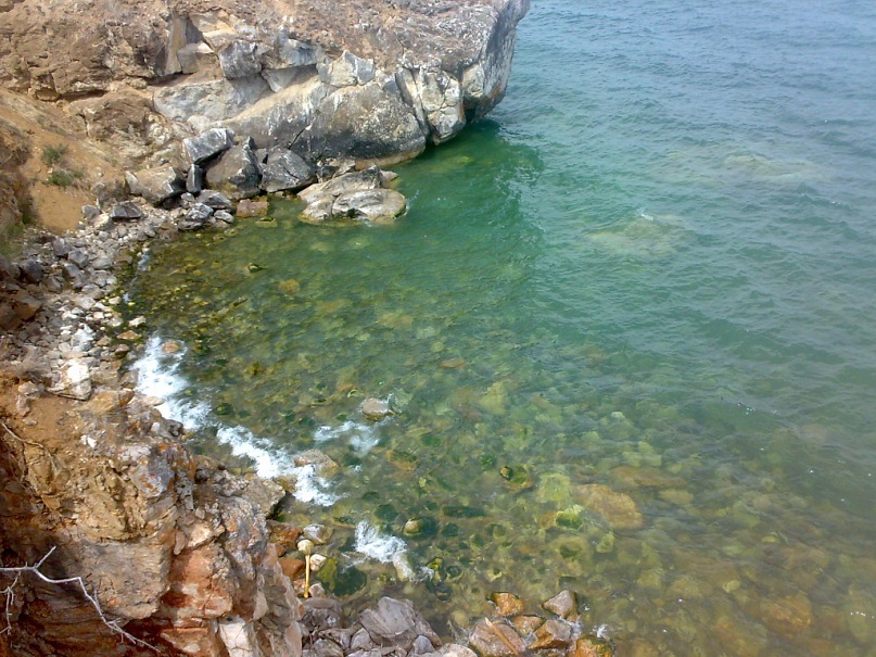 Рустам Хамракулов фотография #49